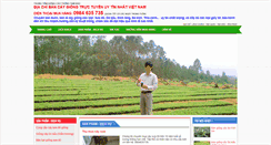 Desktop Screenshot of caysuatamdao.com
